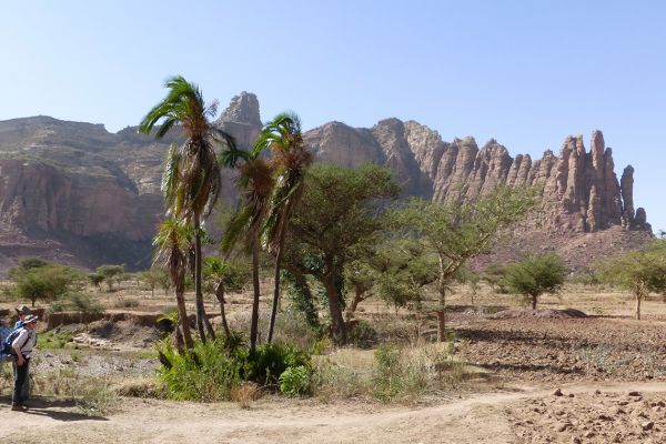 In Tigray we walk through farmland against a backdrop of red sandstone rock pillars