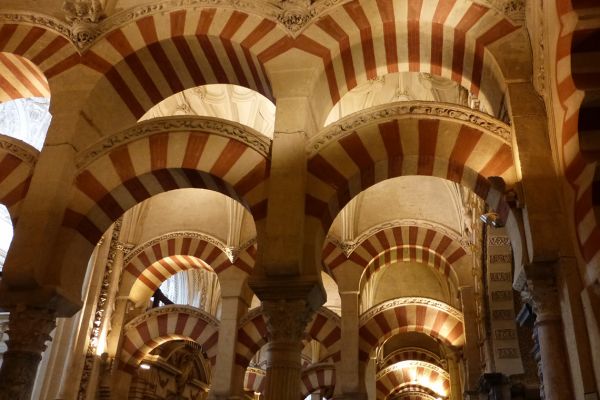 8C Mezquita in Cordoba