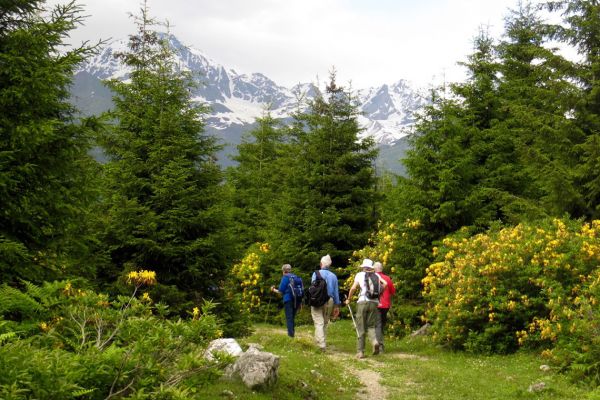 Walking in the Caucasus, Georgia