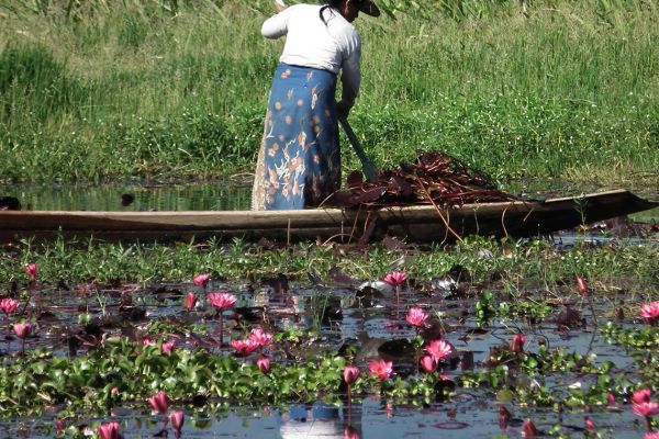 Rural scene on Lake Inle, Myanmar