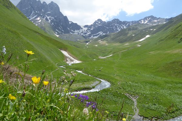 Mountain valley above Jutta, Georgia