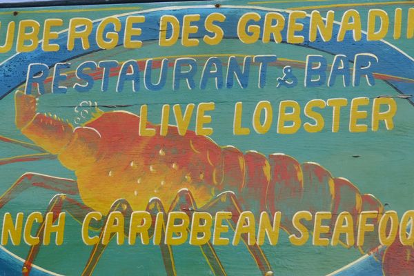 Bequia - fresh lobster