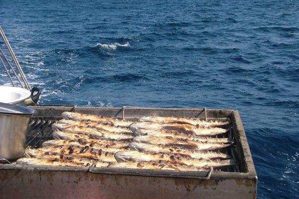 Fresh seabass on the grill, Croatia 