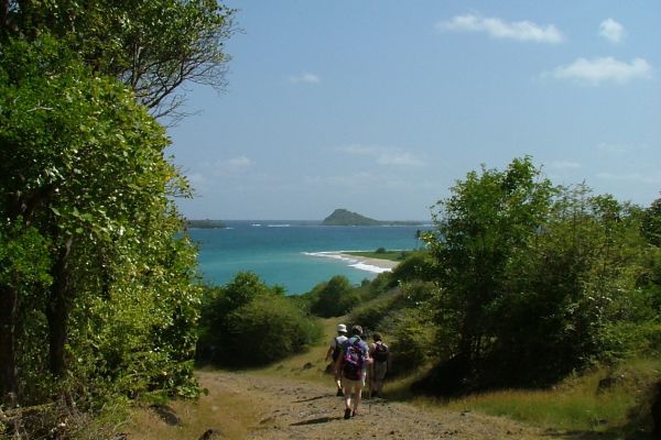 Walking on Grenada
