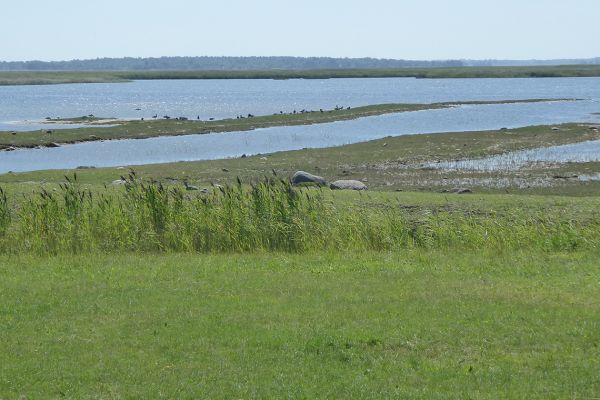 Matsalu National Park