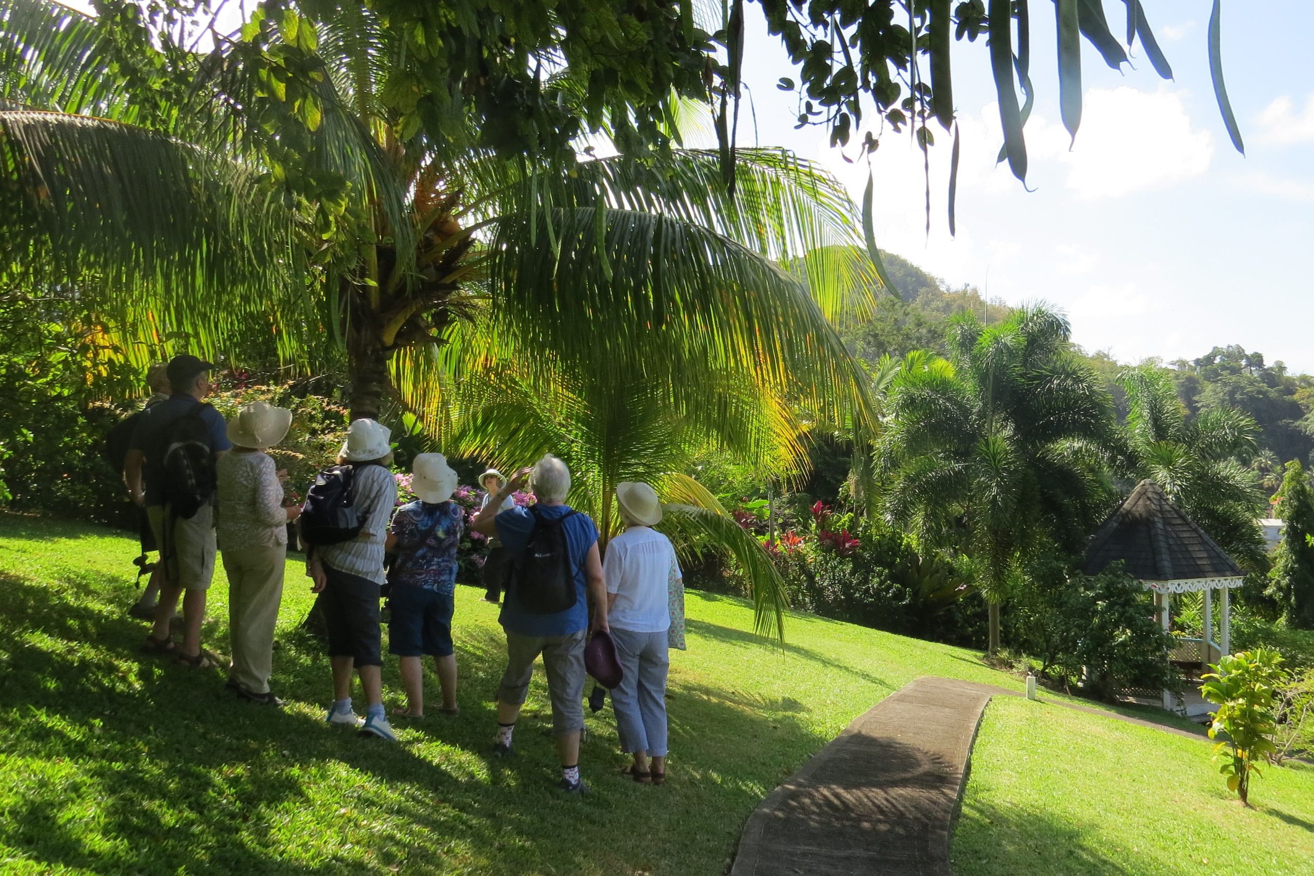 Grenada garden walk