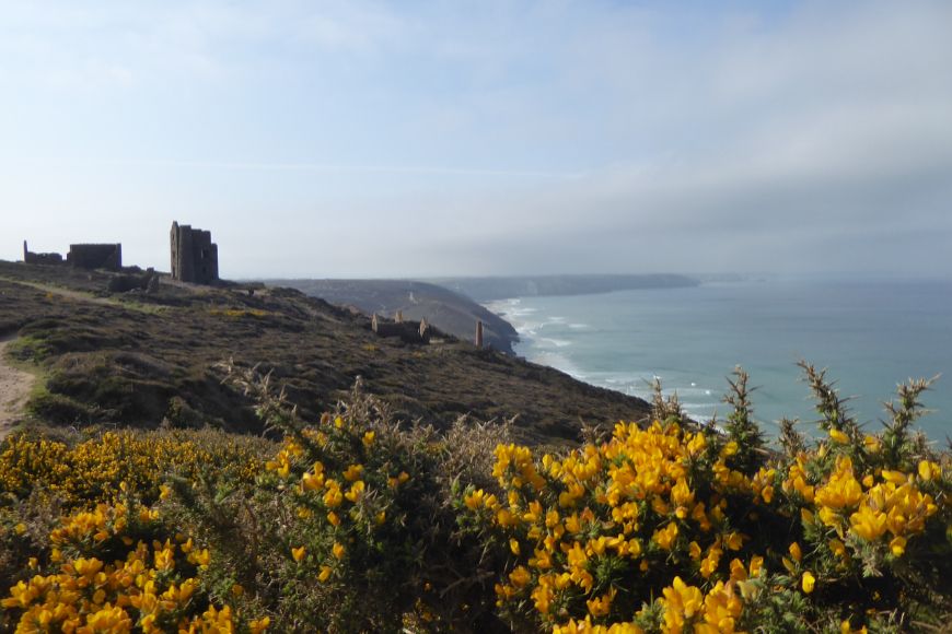 Cornwall Wheal Coates