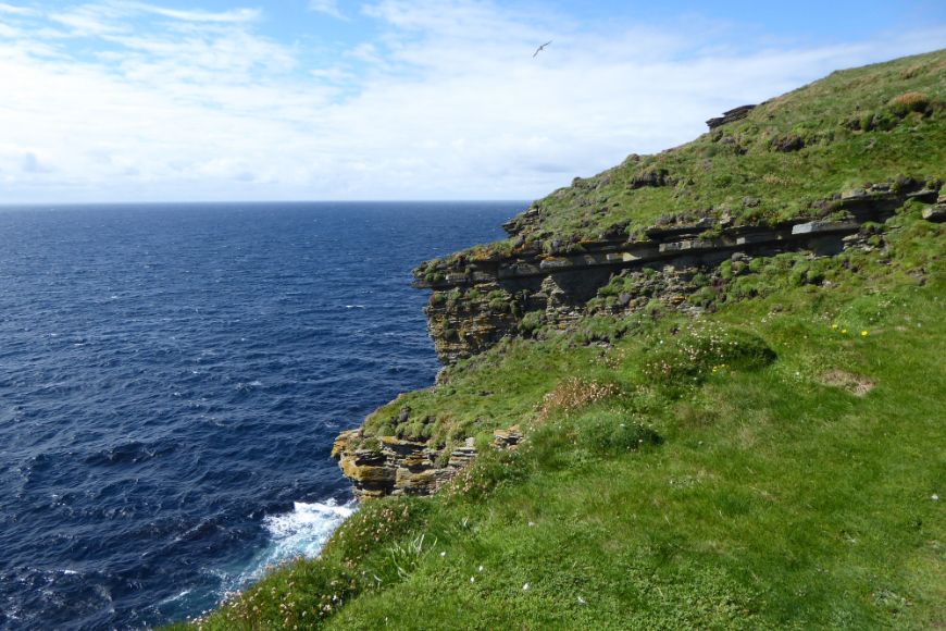 Orkney cliff
