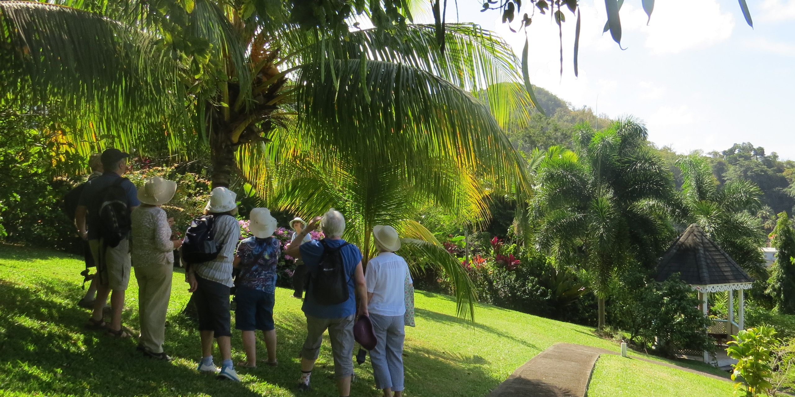 Grenada garden walk