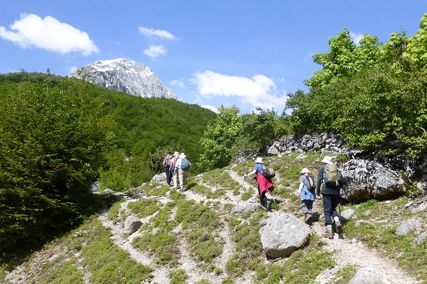 Albania Kukaj