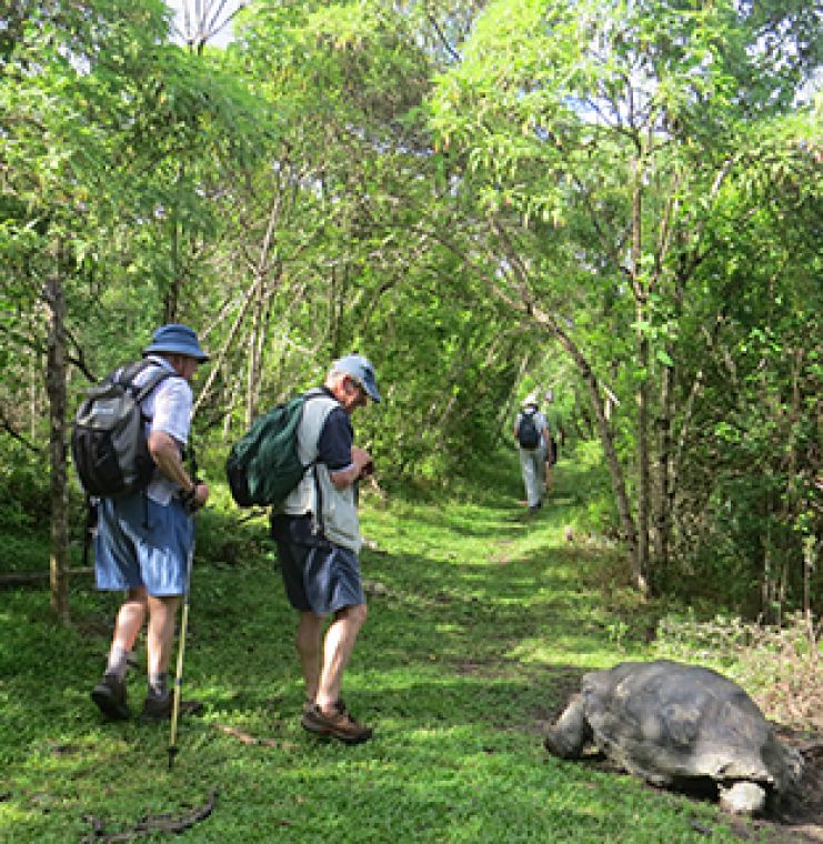Ecuador walk