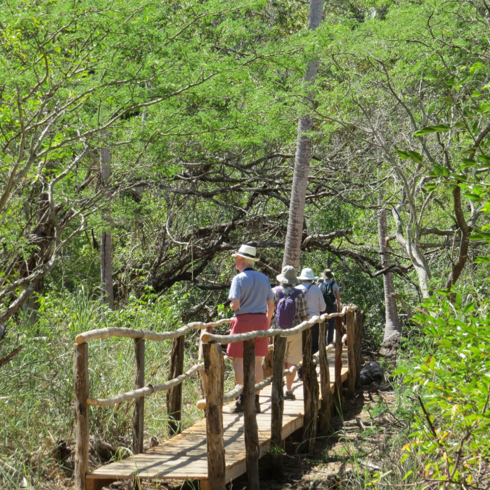 Costa Rica walk