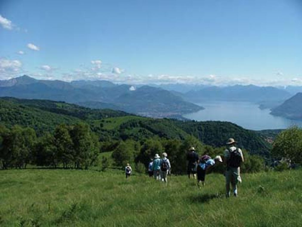 Orta walk