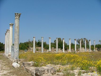 Salamis