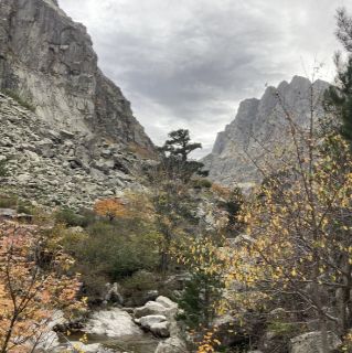 Corsica Restonica