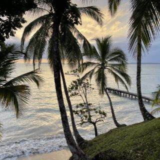 Panama Bocas del Toro