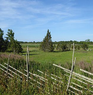 Estonia wooden fence