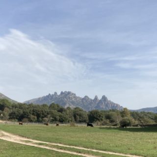Corsica Bavella