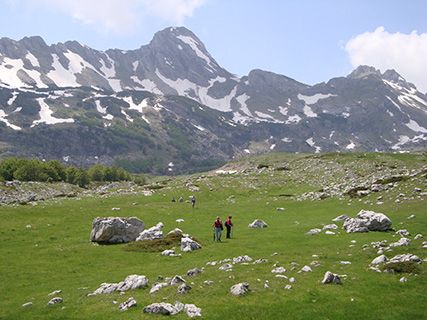 Montenegro pass