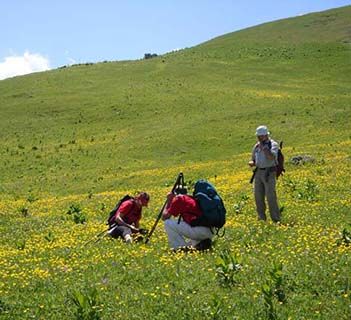 Montenegro botany